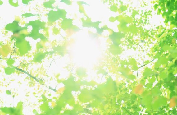 業界の行き先が不安であれば